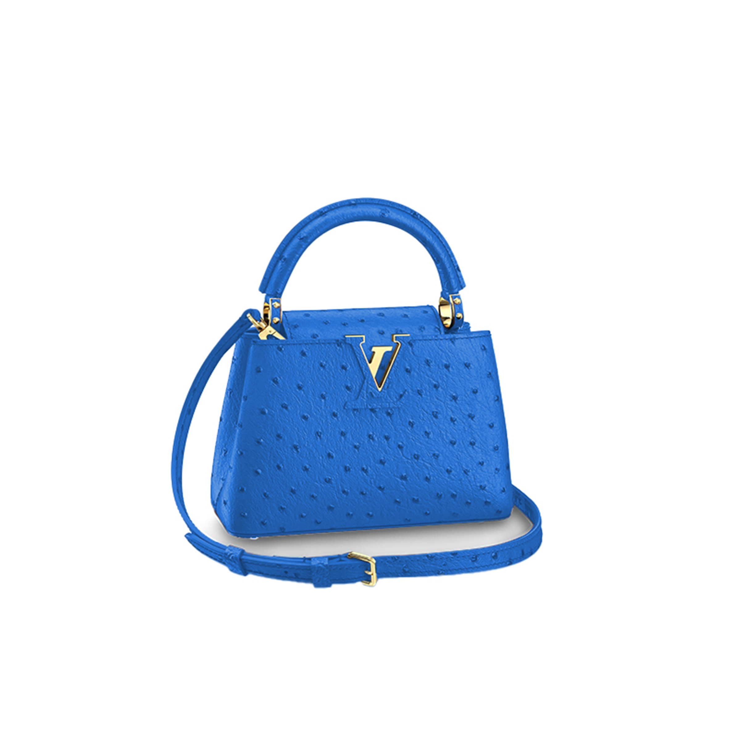 LOUIS VUITTON CAPUCINES MINI M95509 (21*14*8cm)